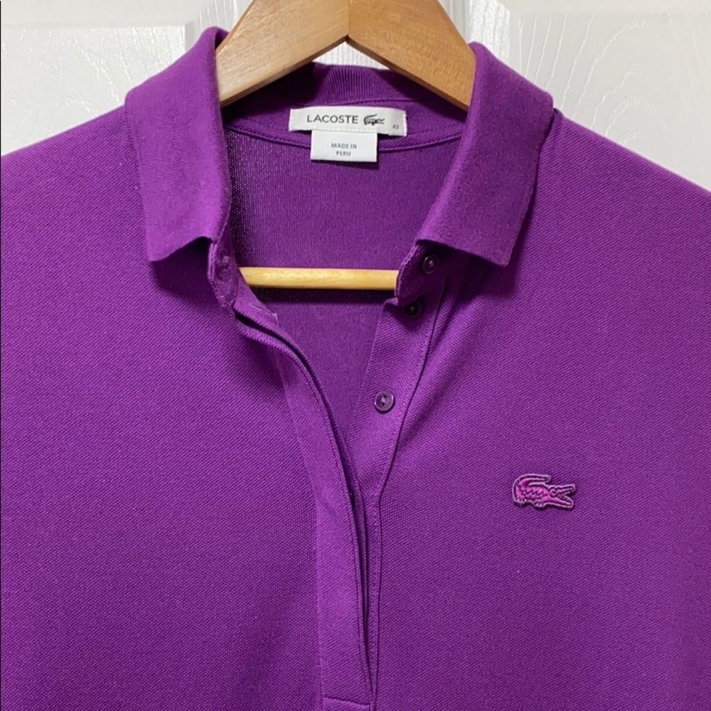 Women’s Polo dress with three quarter sleeves